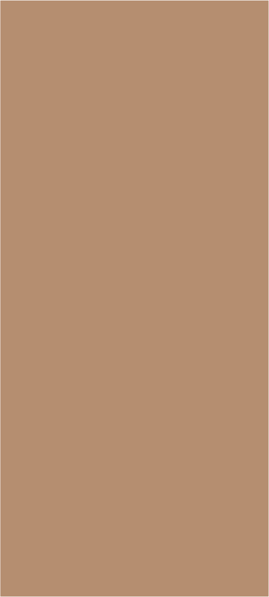 PA-11033HG.png