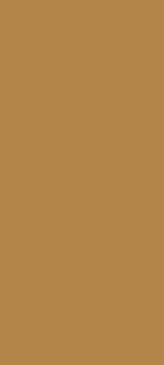 PA-11058HG.png