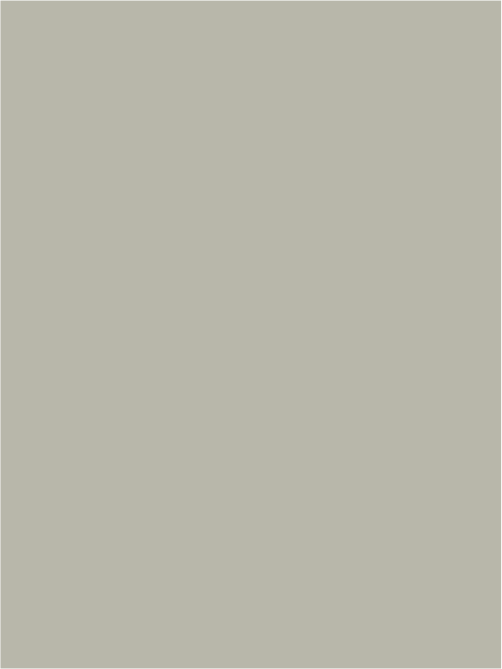 PA-11059HG.png