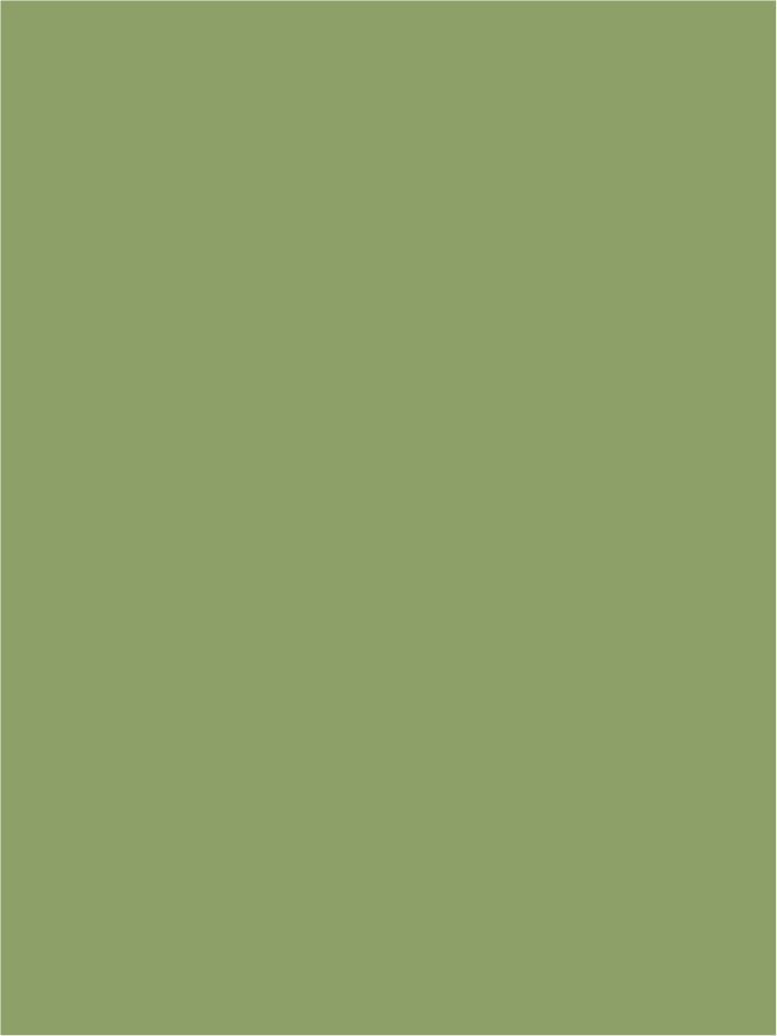 PA-11061HG.png